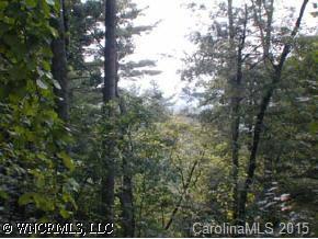 21 Catatoga Path, Brevard, NC 28712
