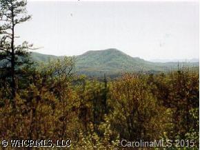 Dvdegi Ct. #UNIT 24/LOT 73A, Brevard, NC 28712