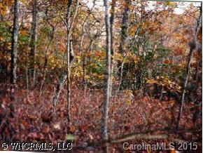 4 Tsitsi Court #U 27 L 5, Brevard, NC 28712