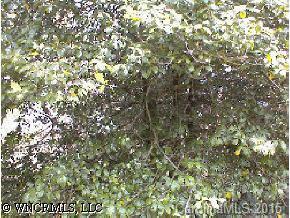 5 Cheestoonaya Way #UNIT 7 LOT 19, Brevard, NC 28712