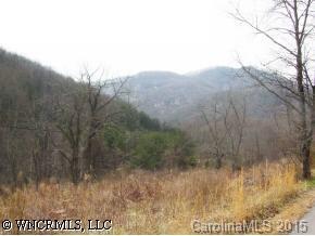 [Address Hidden by Seller], Candler, NC 28715