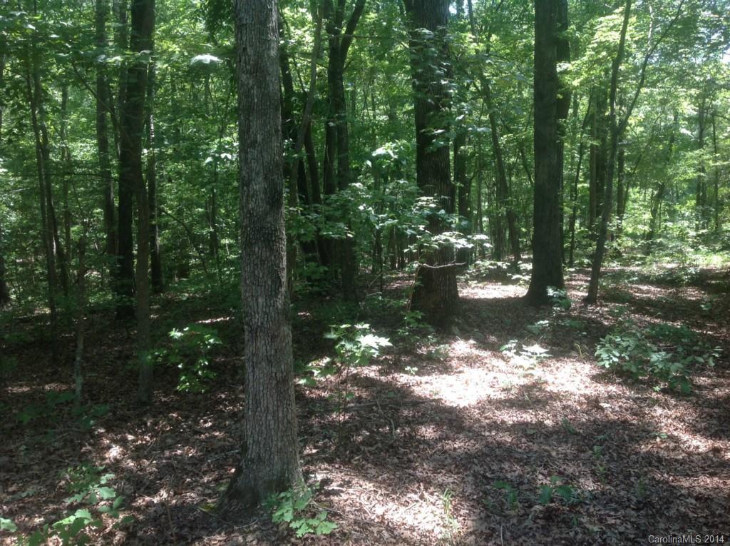 Lot 5 Lancaster Hwy., Waxhaw, NC 28173