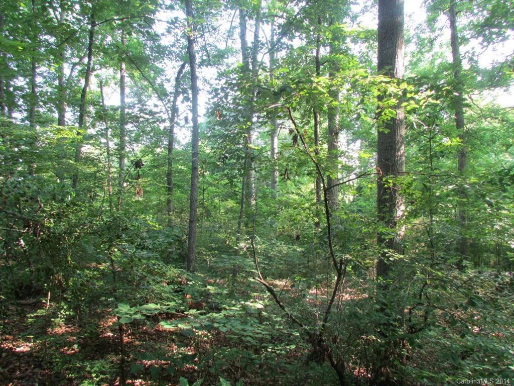 2801 Colony Rd. #3, Charlotte, NC 28211