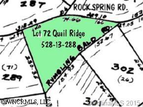 72 Quail Ridge, Lake Lure, NC 28746