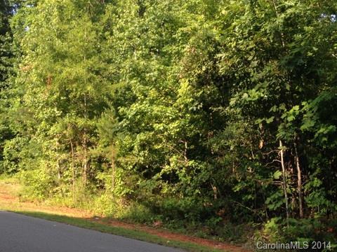 Lot 10 New Castle Ct. #10, Albemarle, NC 28001