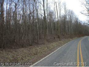 00 Elk Mountain Scenic Hwy, Off, Asheville, NC 28804