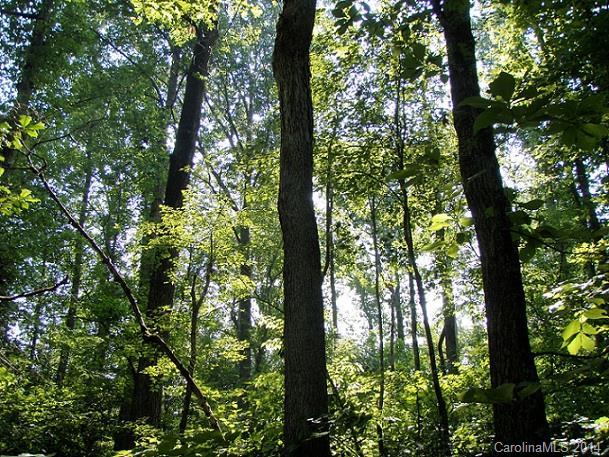 1 L R Schronce Ln. #Tract B, Iron Station, NC 28080