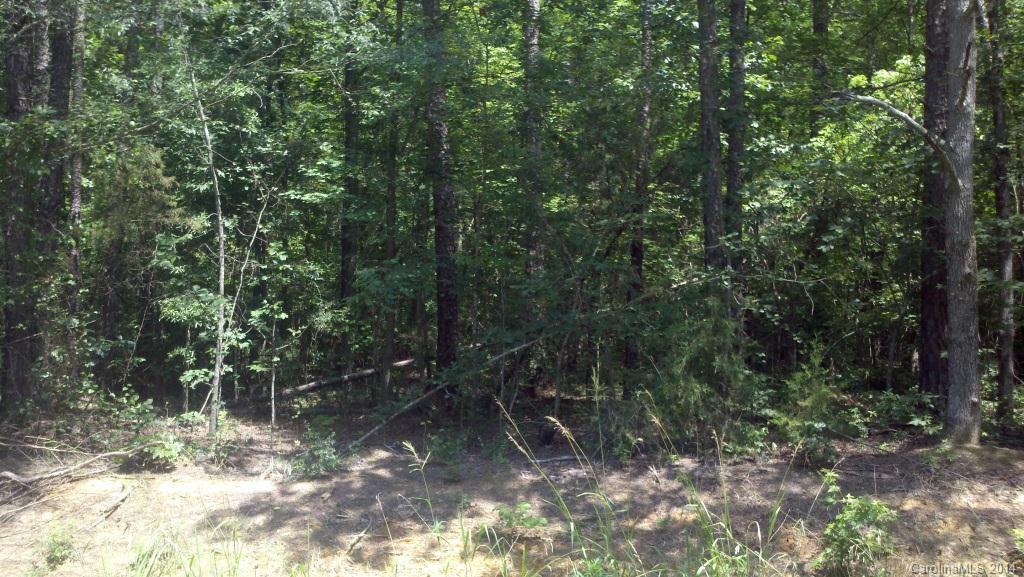 L J Whitley Rd., Monroe, NC 28112