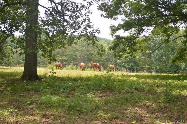 Lots 3 & 4 Shuping Mill Rd. #Lot 3 & 4, Salisbury, NC 28146