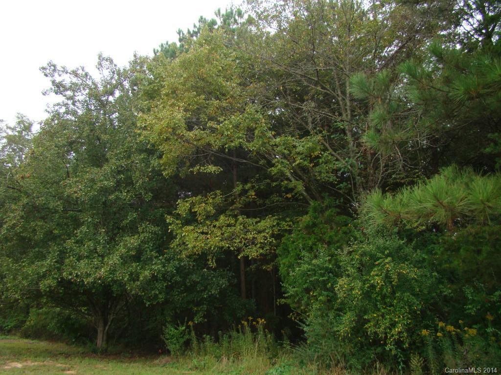 Vacant land N Nc 16 Hwy., Denver, NC 28650