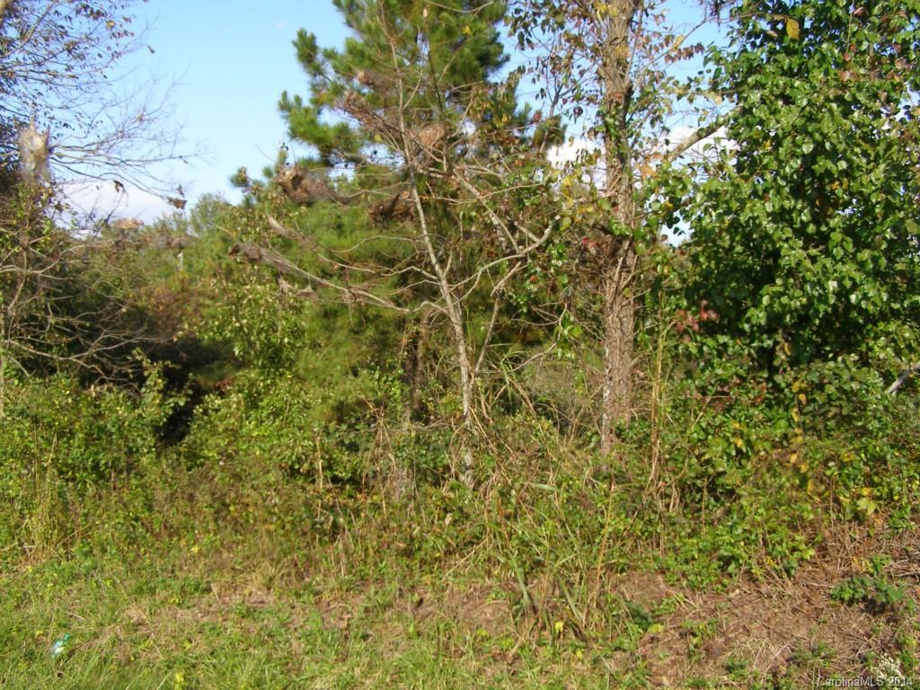 3646 Bridges Dairy Rd., Polkville, NC 28136