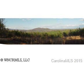 1520 Grassy Knob Road, Rutherfordton, NC 28139