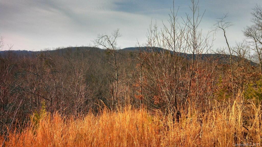 1725 Nc Hwy 8 & 89 Hwy., Danbury, NC 27106