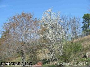 Ollie Weaver Road, Weaverville, NC 28787