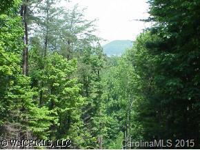 29 Luther Burbank Dr., Lake Lure, NC 28746