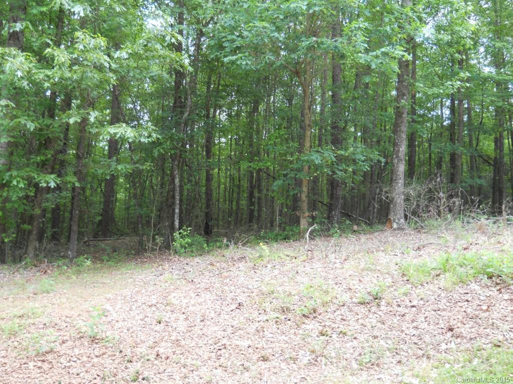 Sandranette St., Shelby, NC 28152