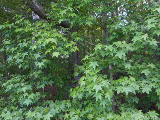 Wildwood Dr., Salisbury, NC 28144