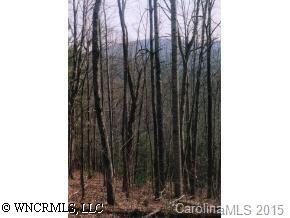 1194 Off Patterson Road, Etowah, NC 28739