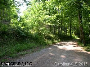 Off Lewis Drive, Waynesville, NC 28786