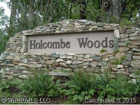67 Helen Holcombe Way, Candler, NC 28715