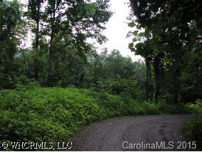 229 Section B, Waynesville, NC 28786