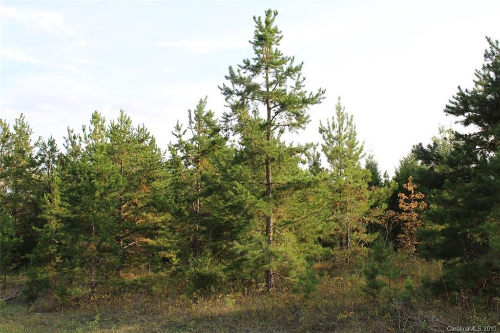 00000 Mcwhorter Rd., Waxhaw, NC 28173