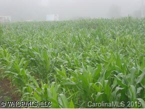 Jonathan Creek Rd., Waynesville, NC 28785