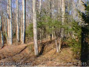 243 Walking Horse Way, Hendersonville, NC 28792