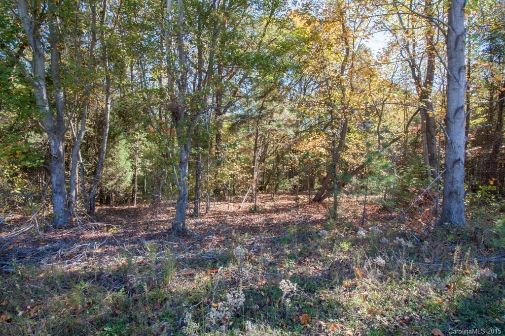 #33-34 Slanting Bridge Rd., Sherrills Ford, NC 28673