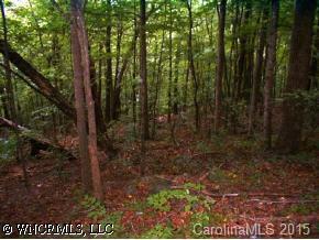 xx Off Flat Creek, Black Mountain, NC 28711