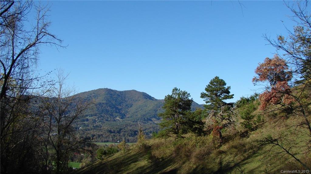 00 Stamey Cove Rd. #6, Waynesville, NC 28786