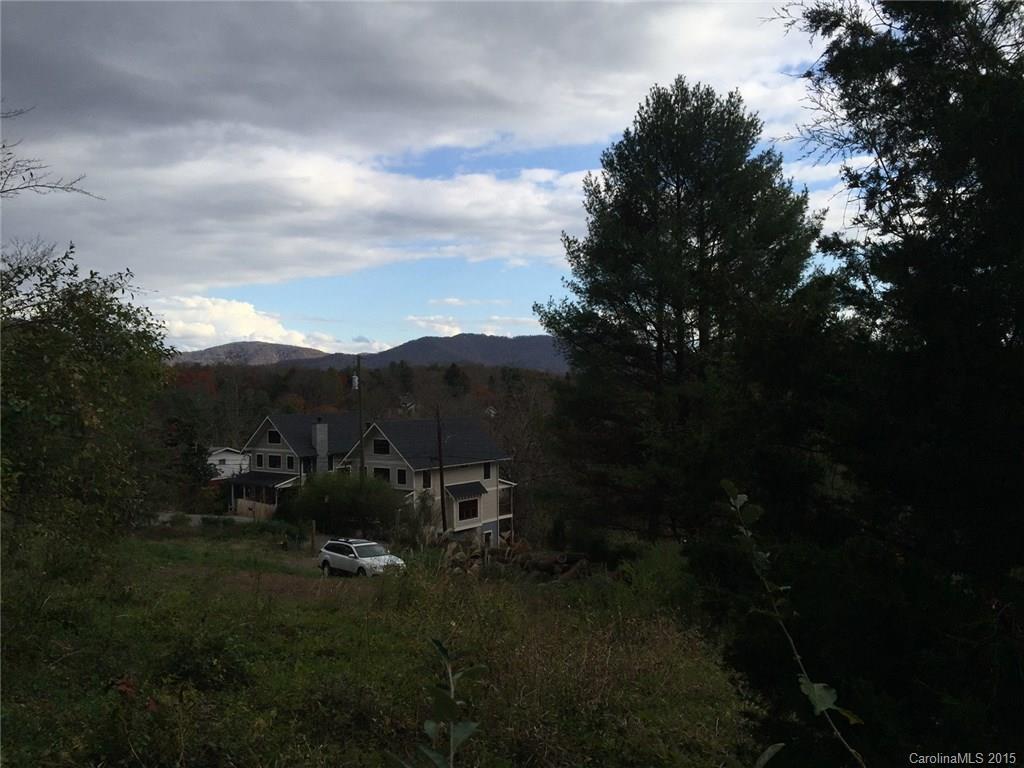 14 Thurland Ave. #4, Asheville, NC 28803