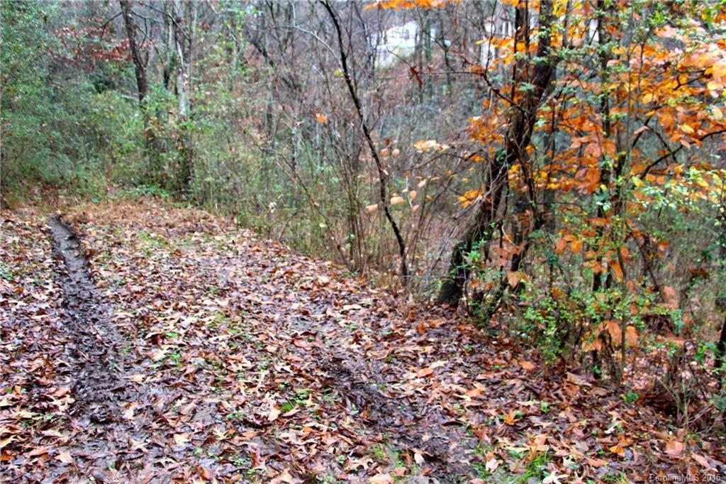 TBD Cox Rd., Pisgah Forest, NC 28768