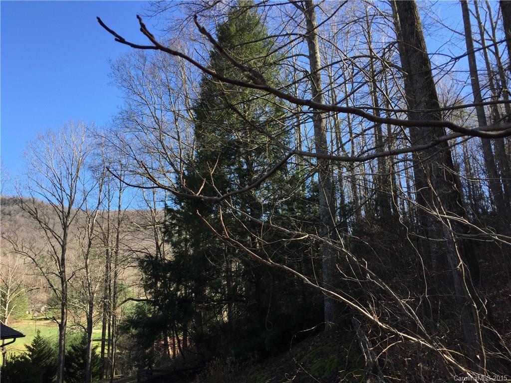 TBD Penland Cove Rd. #N/A, Black Mountain, NC 28711