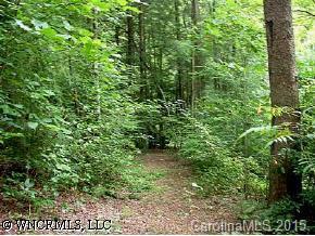 52 Dockside Drive, Lake Lure, NC 28746