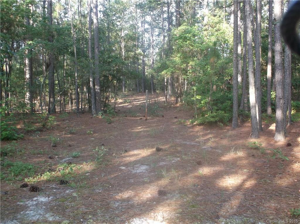 000 Palmer Rd., Marston, NC 28363