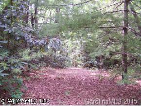 [Address Hidden by Seller], Brevard, NC 28712