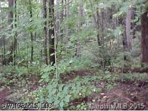 [Address Hidden by Seller], Maggie Valley, NC 28751