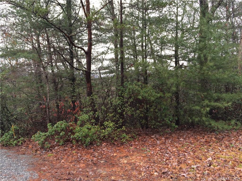 9999 Fox Trail Tr. #124, Lake Lure, NC 28746
