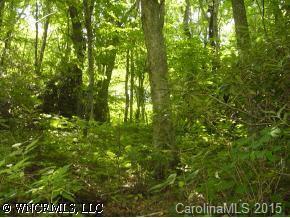 Lot 11 Sanctuary Drive, Maggie Valley, NC 28751