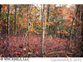 00 Isuhdavga Ct. #6-013, Brevard, NC 28712