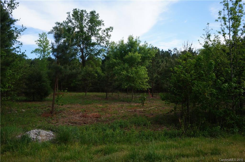 496 Big Indian Loop, Mooresville, NC 28117