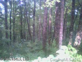 9999 Elk Mountain Scenic Highway, Asheville, NC 28804
