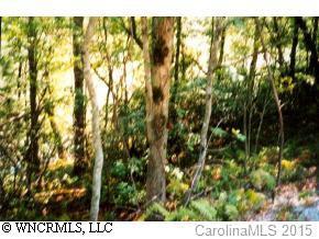 00 Dotsuwa Court #26-129, Brevard, NC 28712