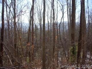 999 Fox Den Rd., Asheville, NC 28805