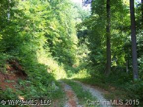 Hwy. 176, Saluda, NC 28773