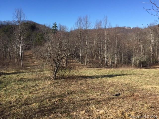 1110 Spicer Cove Rd., Hendersonville, NC 28792