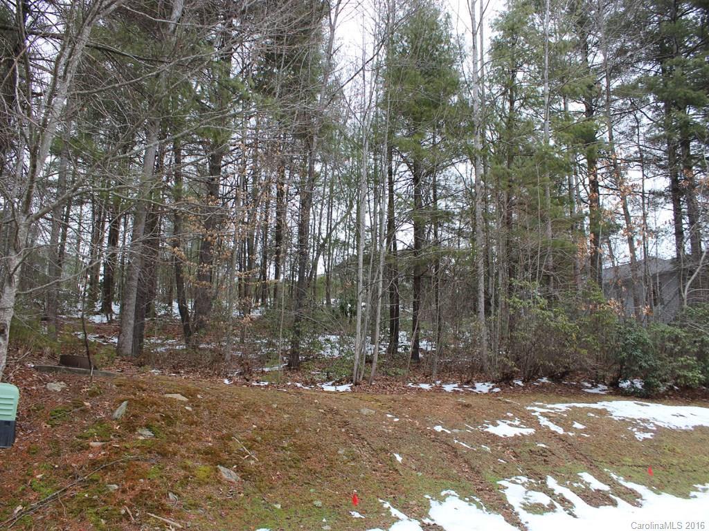 4541 Cove Loop Rd. #10, Hendersonville, NC 28739