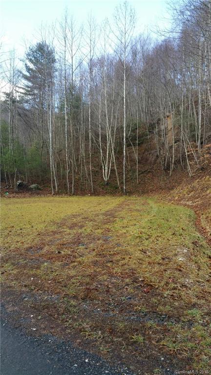 TBD Laws Branch Rd., Green Mountain, NC 28740