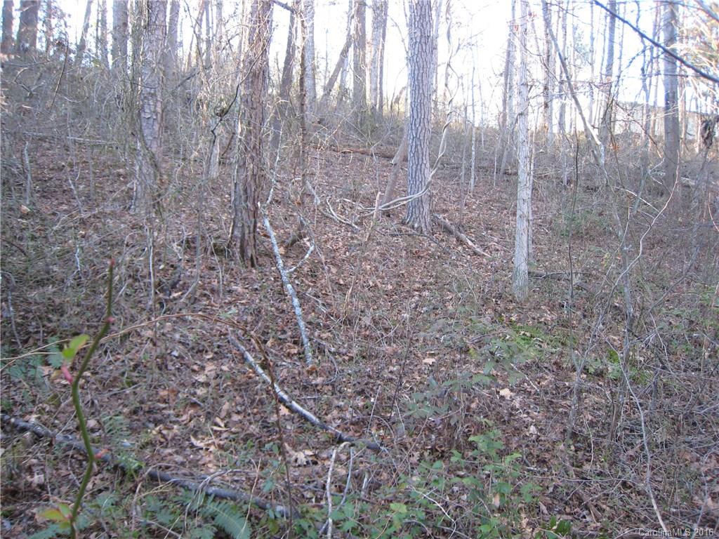 TBD, Lot 2 Sardis Dr., Asheville, NC 28806